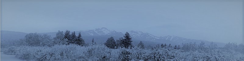 �₳�����f�ނ̓��{��������SOWAN-�\����-���T�C�g